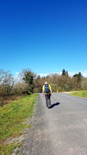 Lugo to Ponte Ferreira