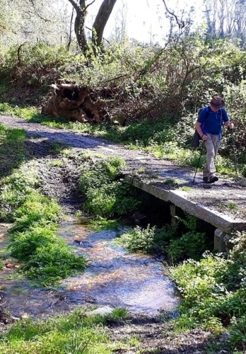 Lugo to Ponte Ferreira