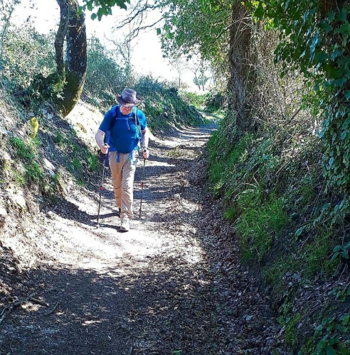 Lugo to Ponte Ferreira