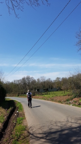 Pont Ferriera - Melide