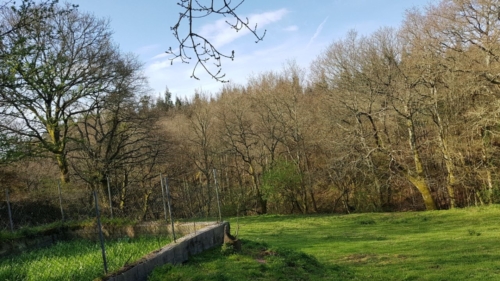 Pont Ferriera - Melide