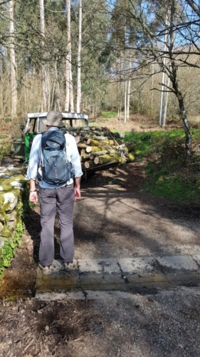 Pont Ferriera - Melide