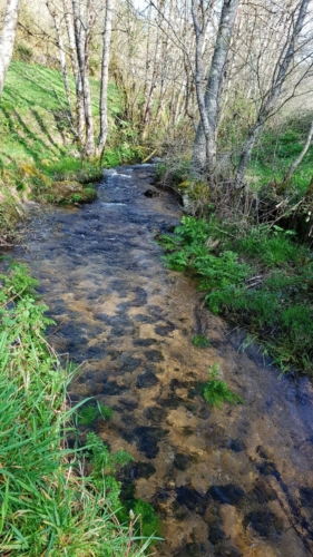 Pont Ferriera - Melide