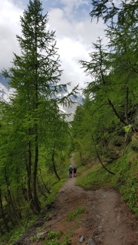 Refuge des Mottets to Courmayeur