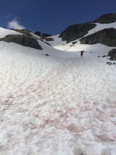 Argentiere to Chamonix